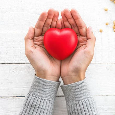 Funkcionális termékek